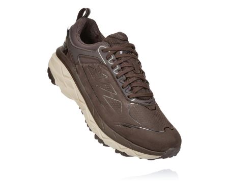 Hoka One One Challenger Low GORE-TEX - Adidasi Alergare Barbati Cafe | RO-G42W4KE